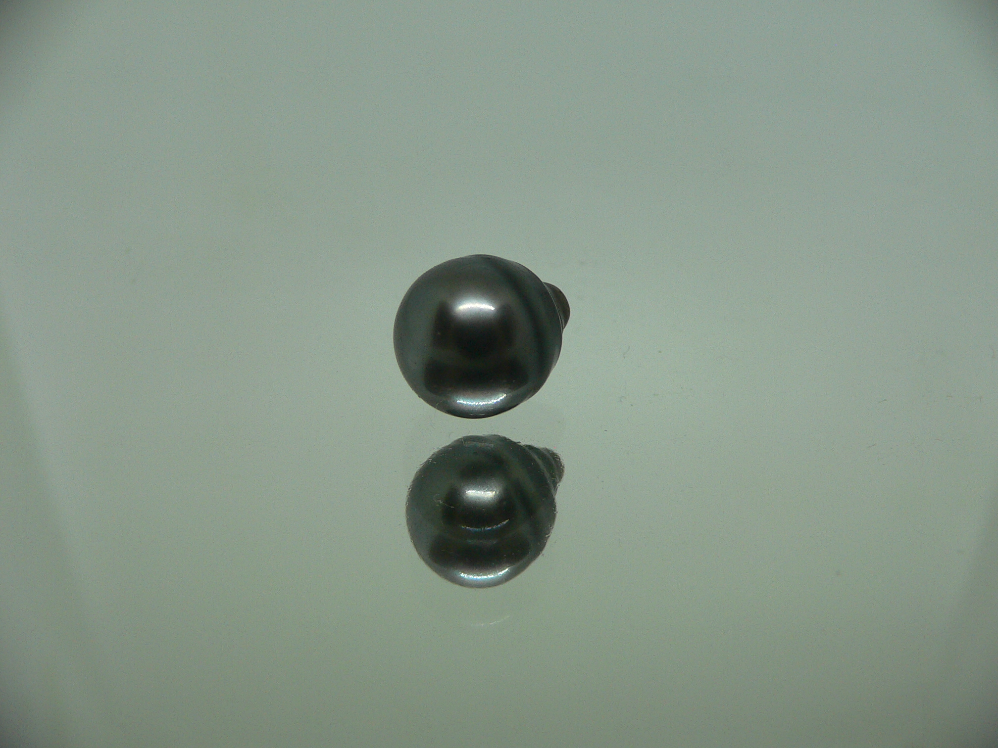 Чёрный жемчуг 4