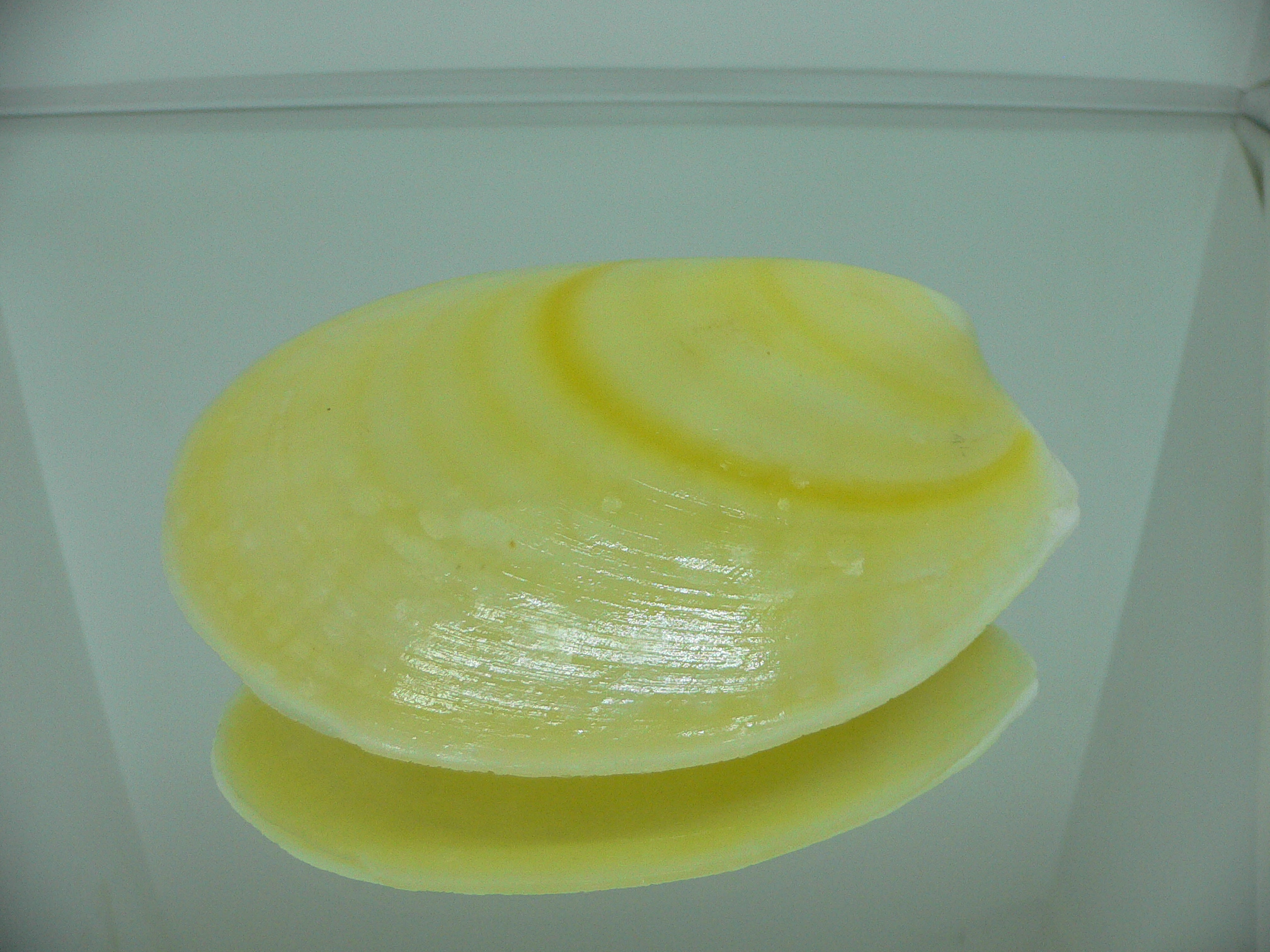 Acesta rathbuni LEMON