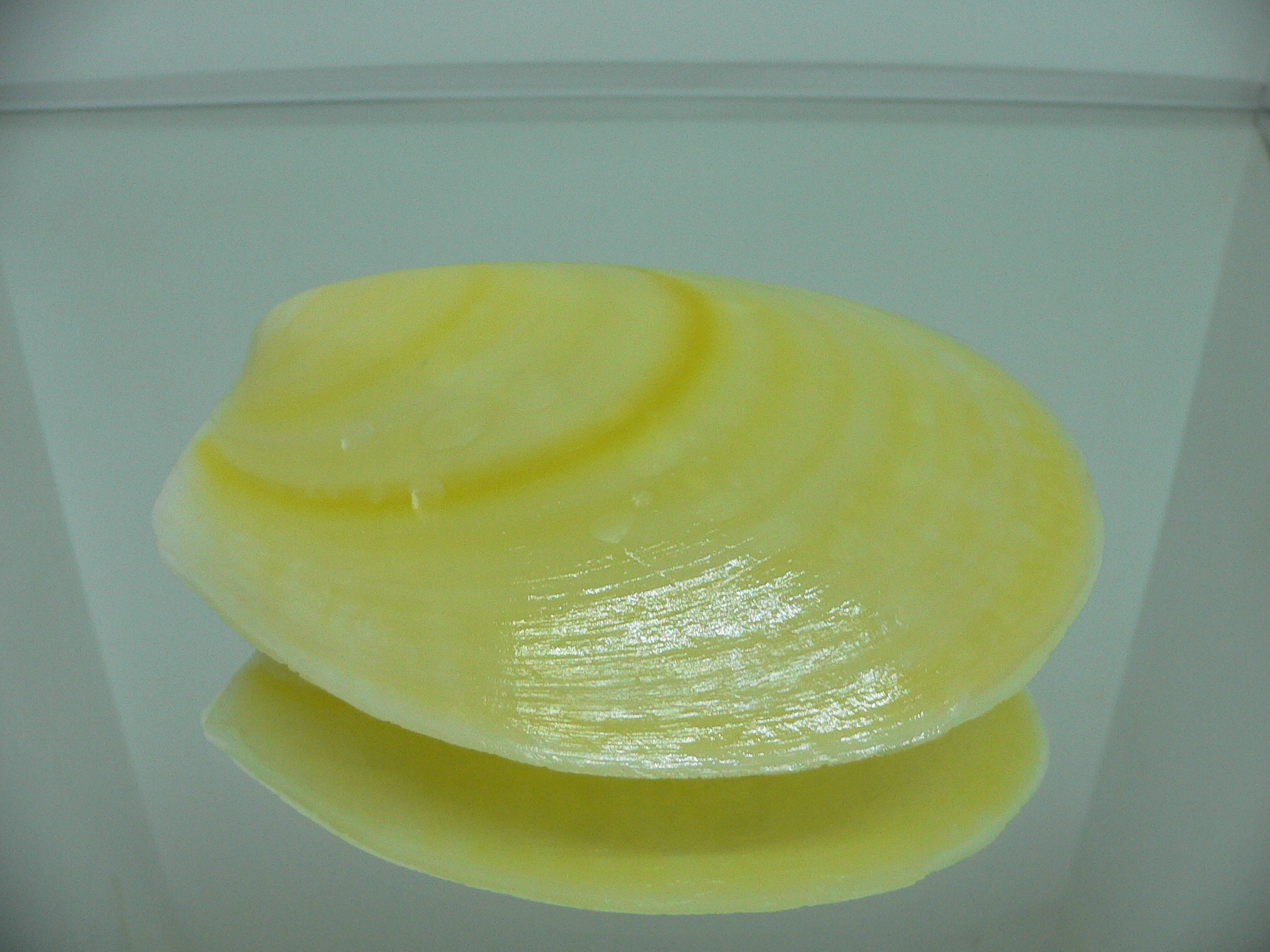 Acesta rathbuni LEMON