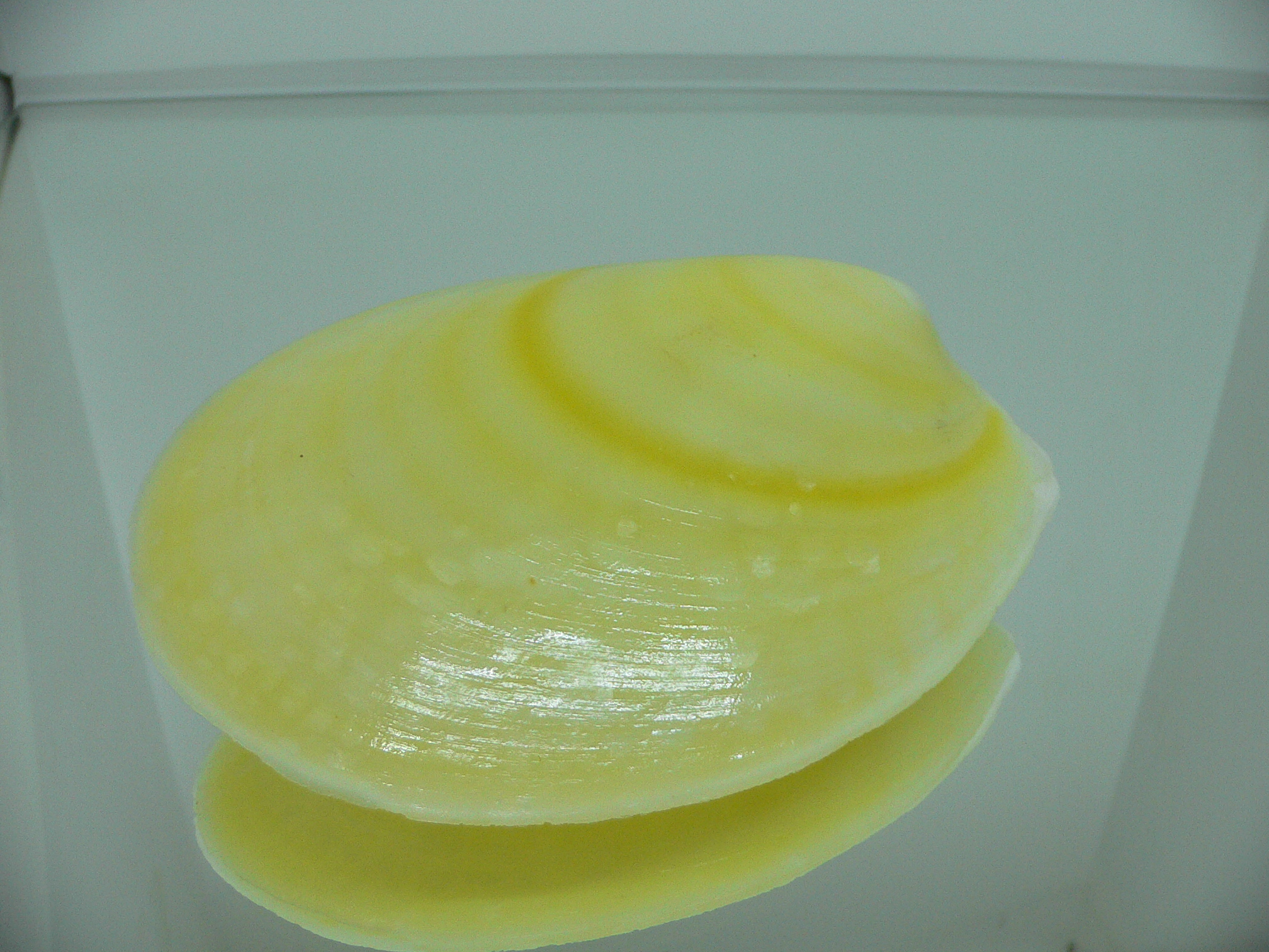 Acesta rathbuni LEMON
