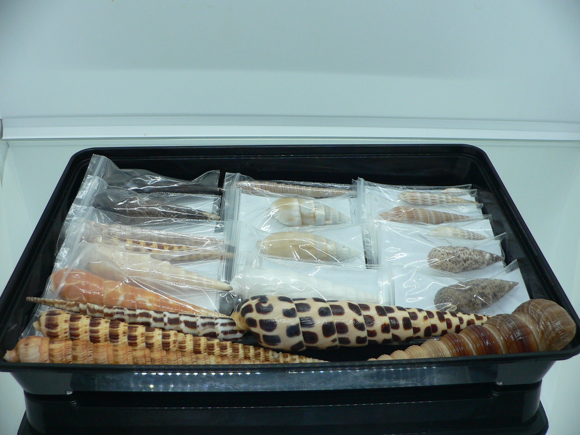 Коллекционный набор - 21 шт.