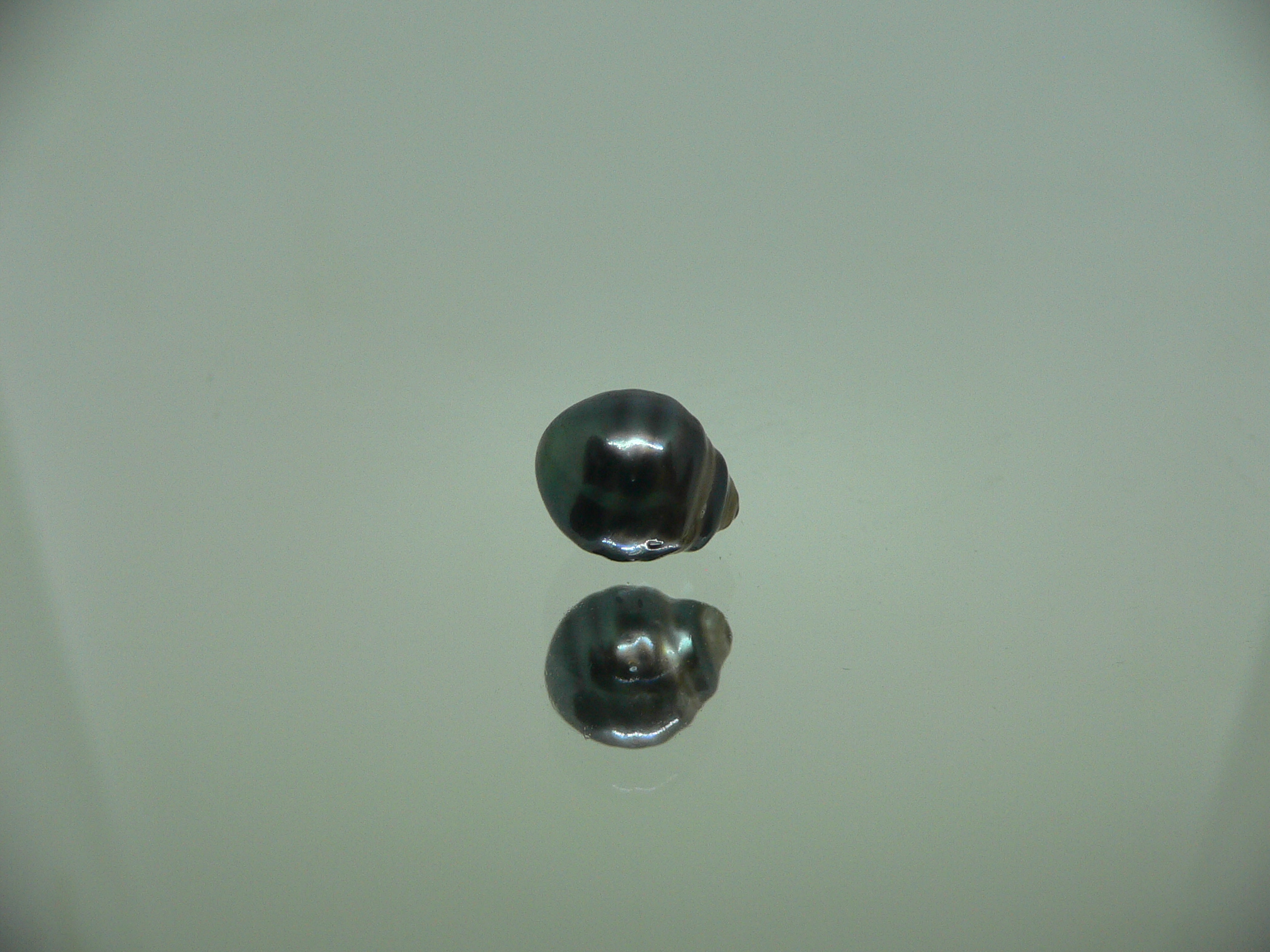 Чёрный жемчуг