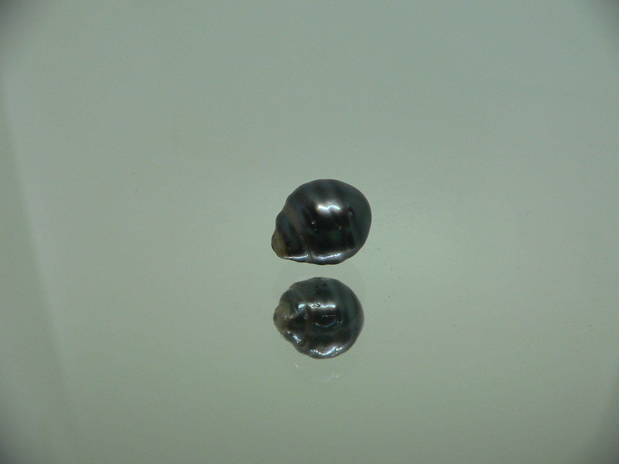 Чёрный жемчуг