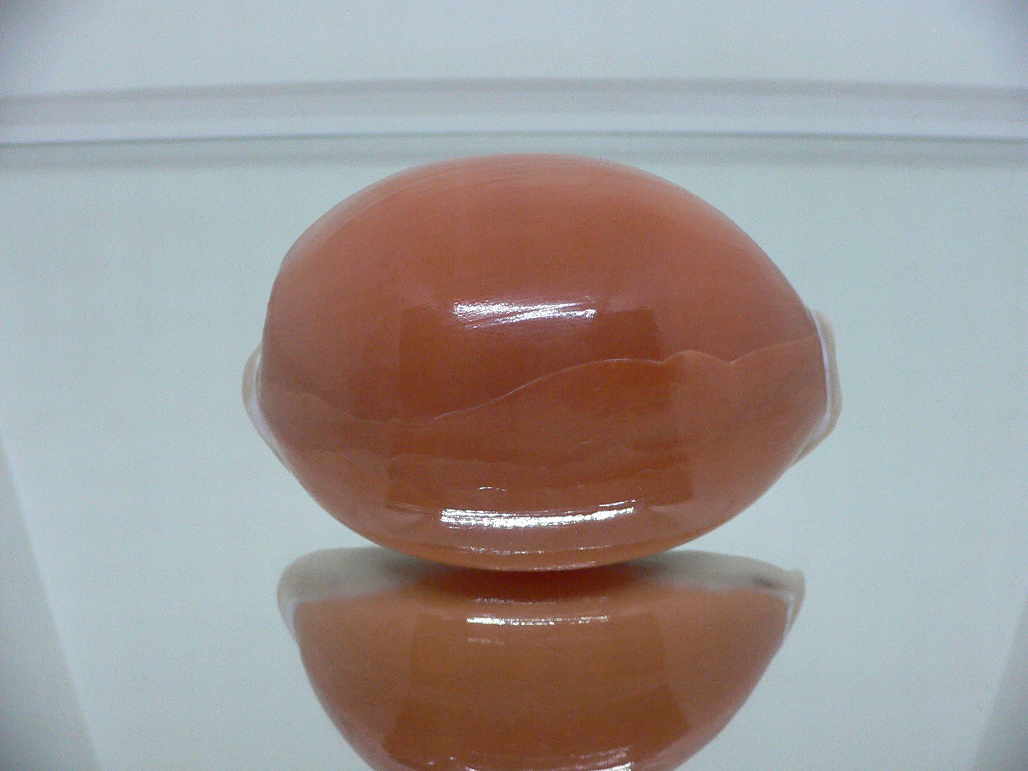 Cypraea aurantium WIDE