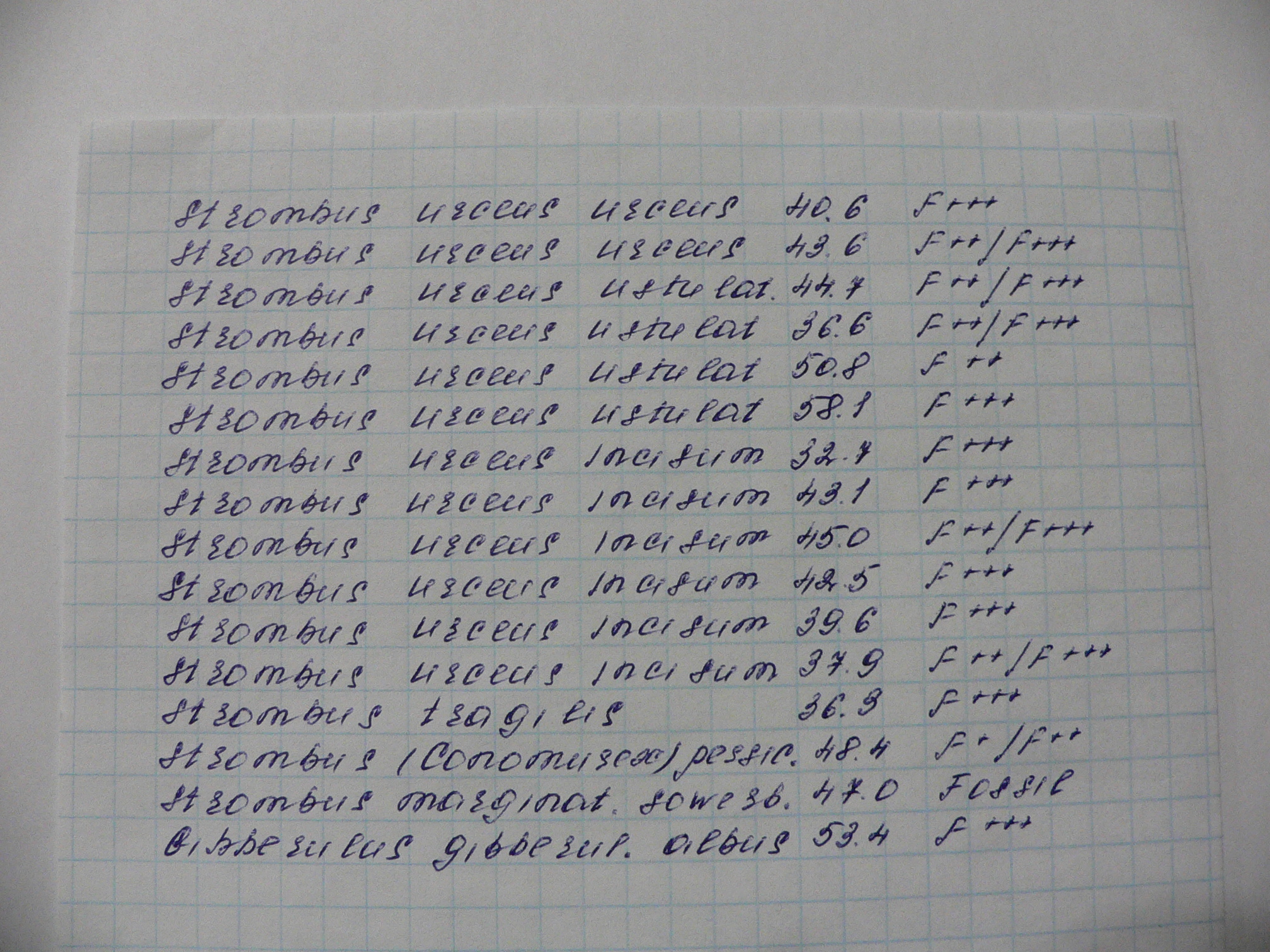 Strombus (Коллекционный набор - 16 шт.)