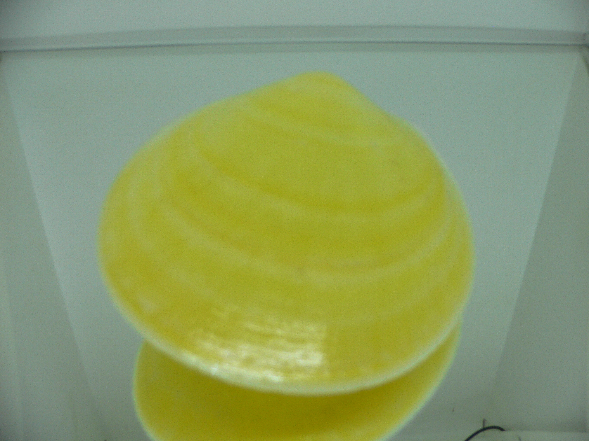 Acesta rathbuni SUPER & YELLOW