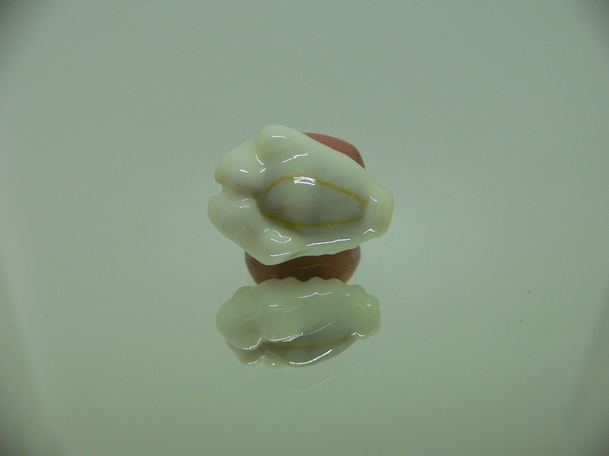 Cypraea moneta barthelemyi (var.) CALLOUSED DWARF